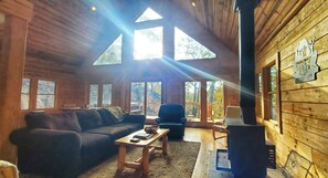 TV connectée, cheminée, jeux vidéo, lecteur de DVD