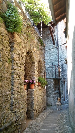 Property grounds - Medieval tower in a quaint old village (Breglia)