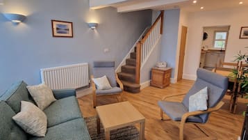 Télévision, cheminée, lecteur de DVD, livres