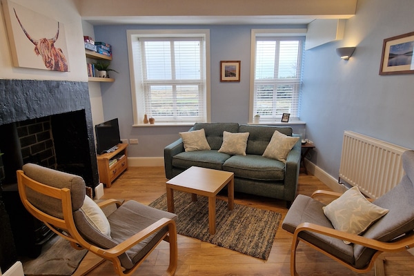 TV, fireplace, DVD player, books