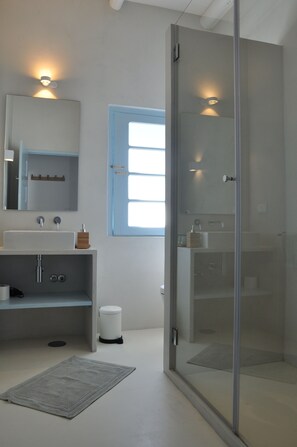 Shower, hair dryer, bidet, towels