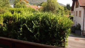 Un'area residenziale con una montagna sullo sfondo, case con tetti spioventi e una vegetazione rigogliosa in primo piano.