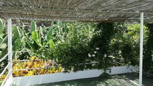 A covered garden area with a variety of plants and a white wall. - Casa Banana - Holiday home on the coast with views (Tazacorte)
