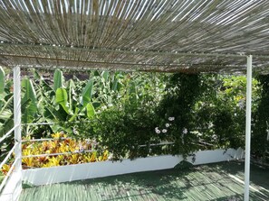 Terrain de l’hébergement 