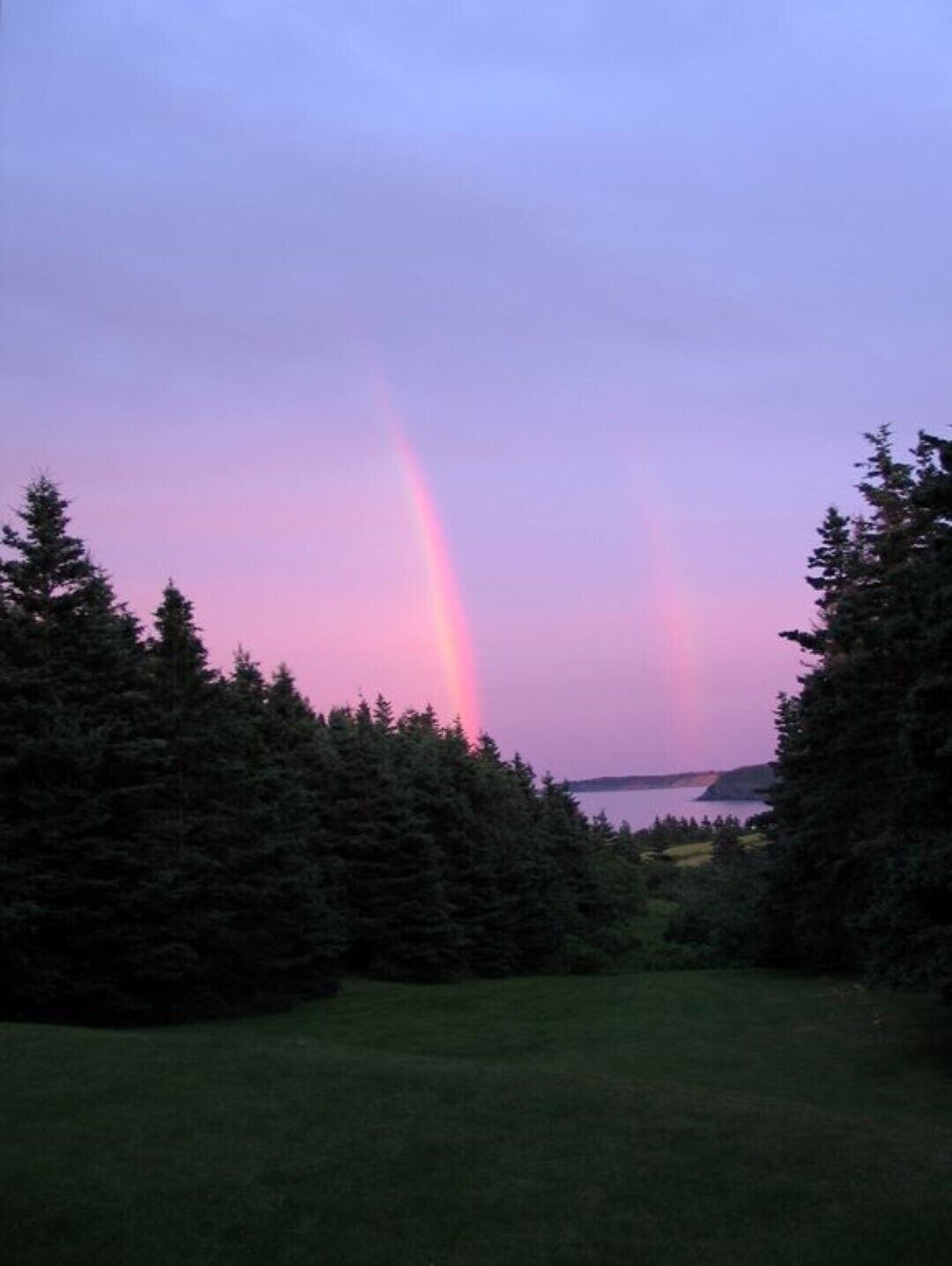 A natural landscape with a rainbow and dense forest.