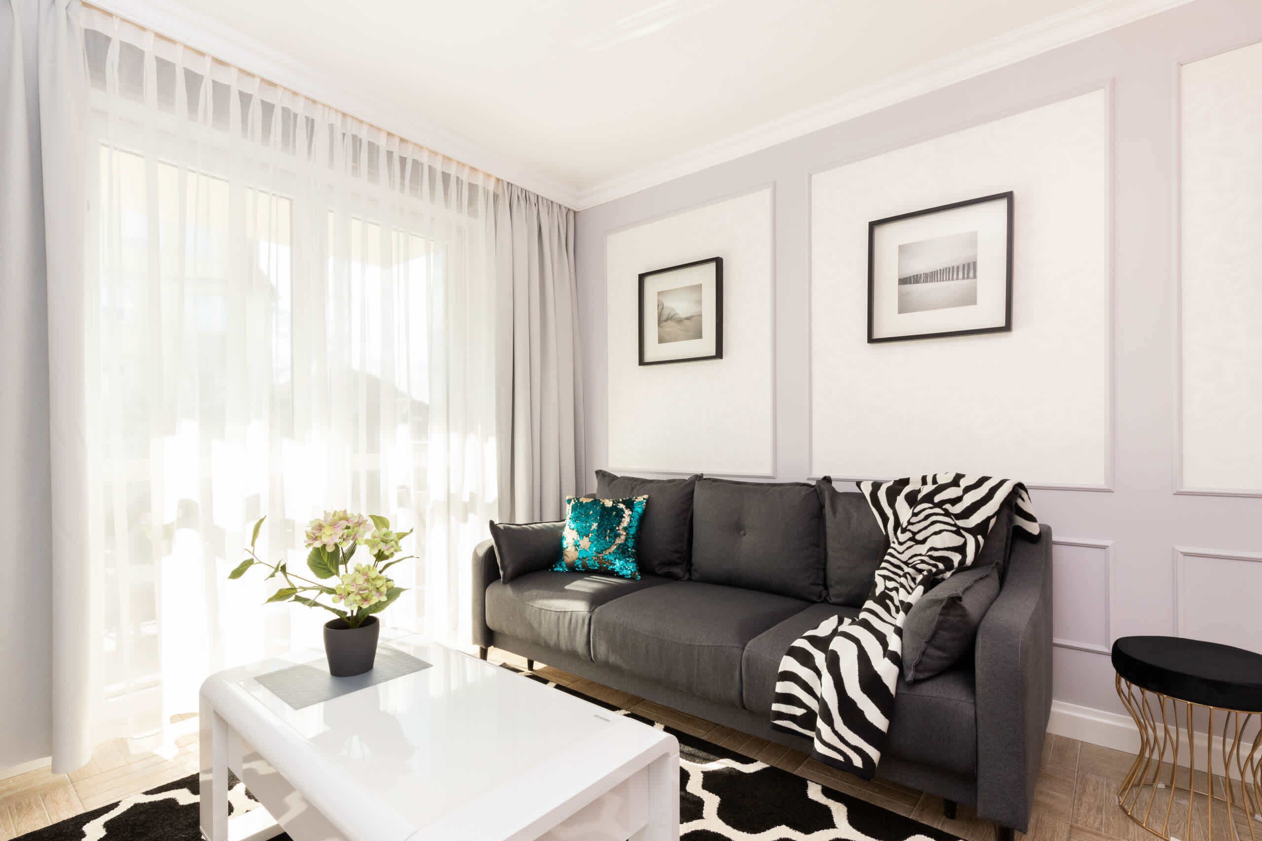 Una sala de estar moderna con un sofá gris, una mesa de centro blanca y un tapete con estampado blanco y negro. Hay dos cuadros en la pared y una planta en maceta sobre la mesa de centro.