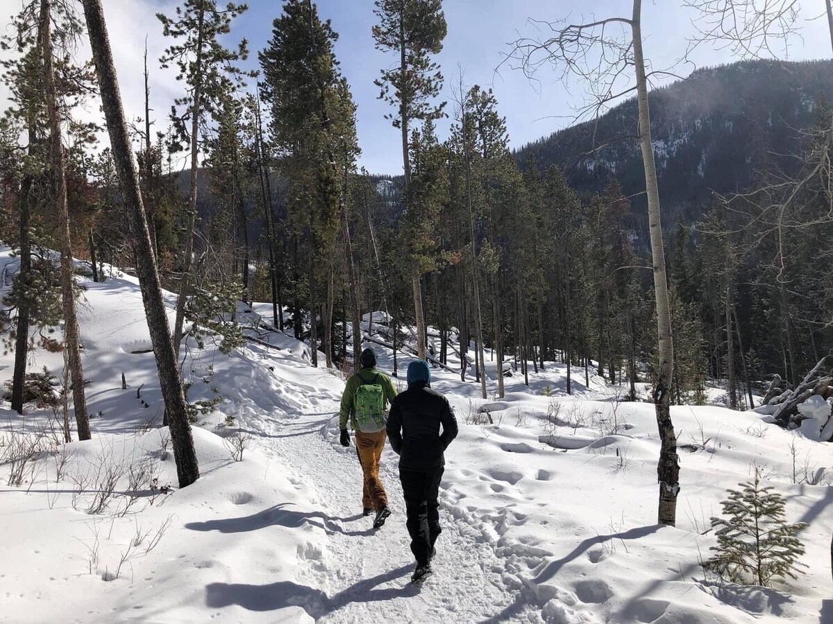 Imagen de perfil del propietario o de la propietaria