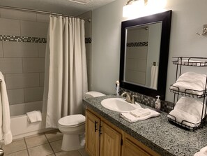 Combined shower/tub, hair dryer, towels