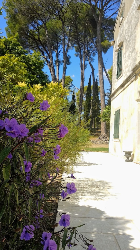 corfu beach cottage - durrells dressing rooms Corfu Beach Cottage - Durrells Dressing Rooms Reviews, Deals & Photos 2026