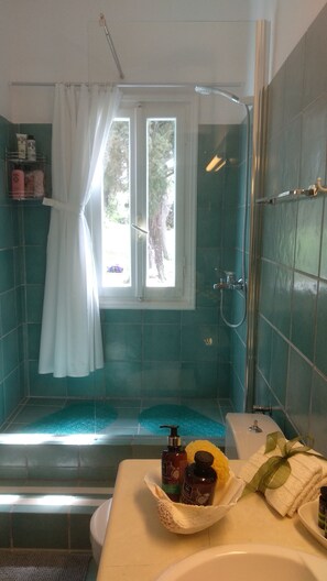Dusche, Haartrockner, Handtücher, Seife
