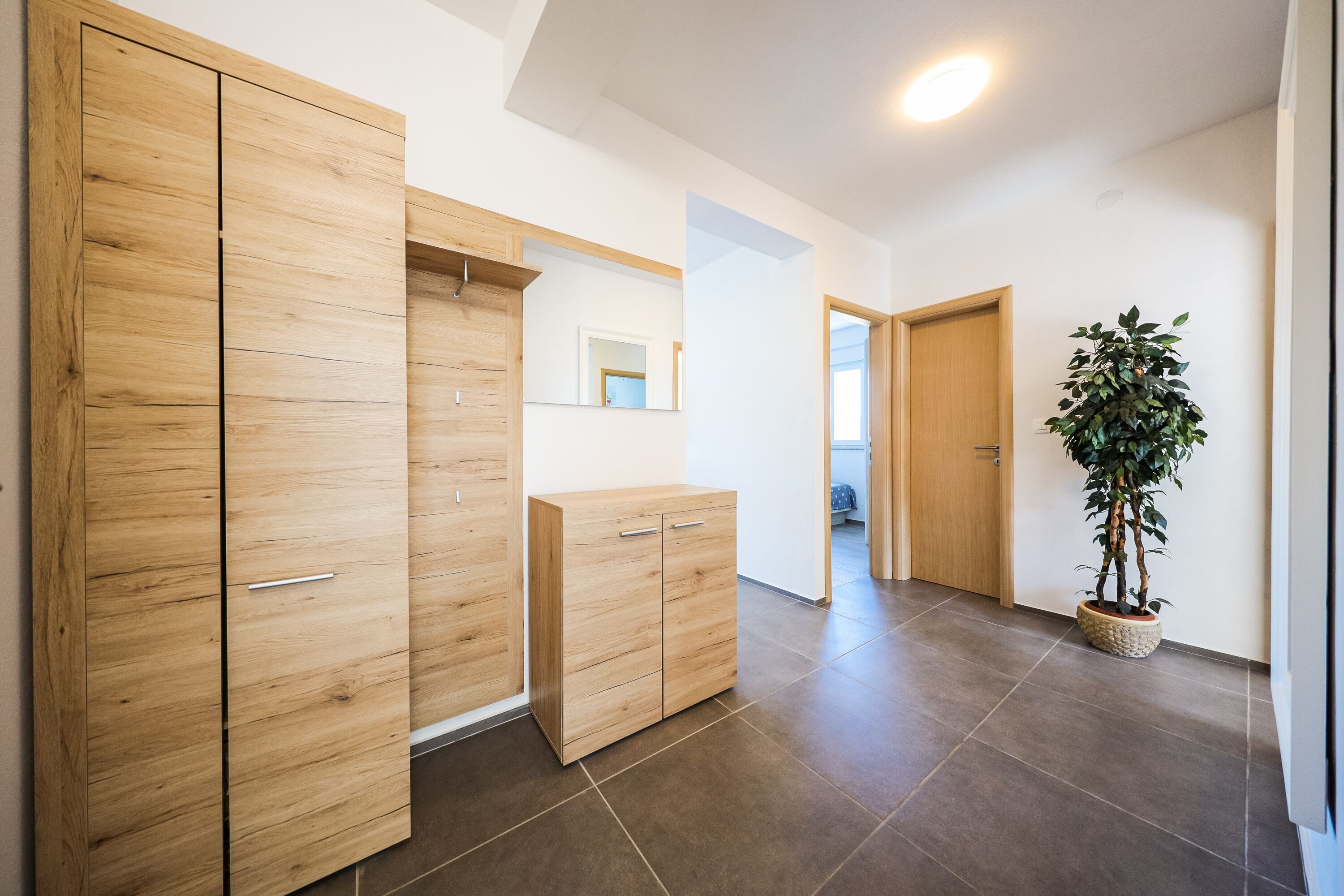 A hallway with wooden wardrobes, a potted plant, and a door leading to another room.