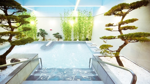 Un área de piscina con escalones que bajan al agua, rodeada de árboles y un muro de bambú.