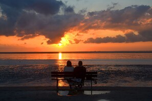 Ranta lähistöllä, aurinkotuoleja