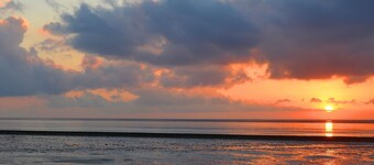 North Sea coast, sandy beach, terrace, small half of the house New!