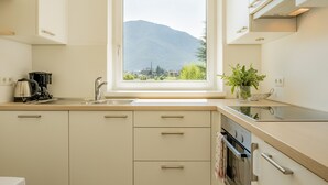 A modern kitchen with a window view of a mountain, stainless steel appliances, and light-colored cabinetry.
