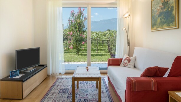 Un salon équipé d’un téléviseur, d’un canapé, d’une table et offrant une vue sur un vignoble grâce à une porte vitrée.