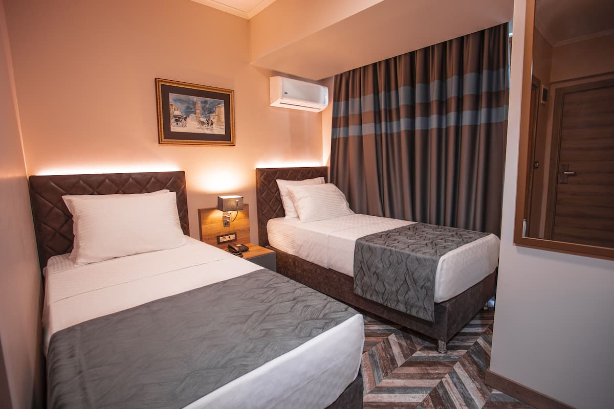 Habitación de hotel con dos camas, un cuadro enmarcado en la pared, un equipo de aire acondicionado y una alfombra estampada.