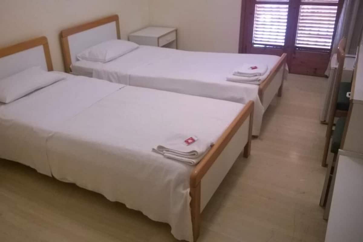 Habitación con 2 camas individuales, vista a la montaña | Wifi gratis y ropa de cama