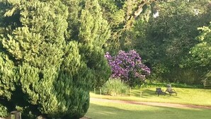 Un jardín con cerca de madera, césped y flores moradas.