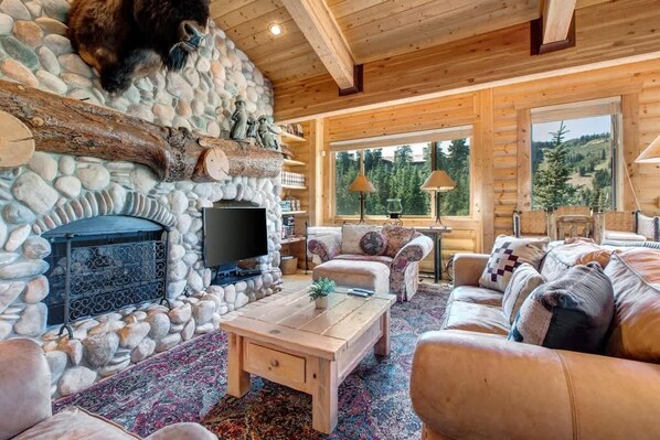 TV, fireplace, offices