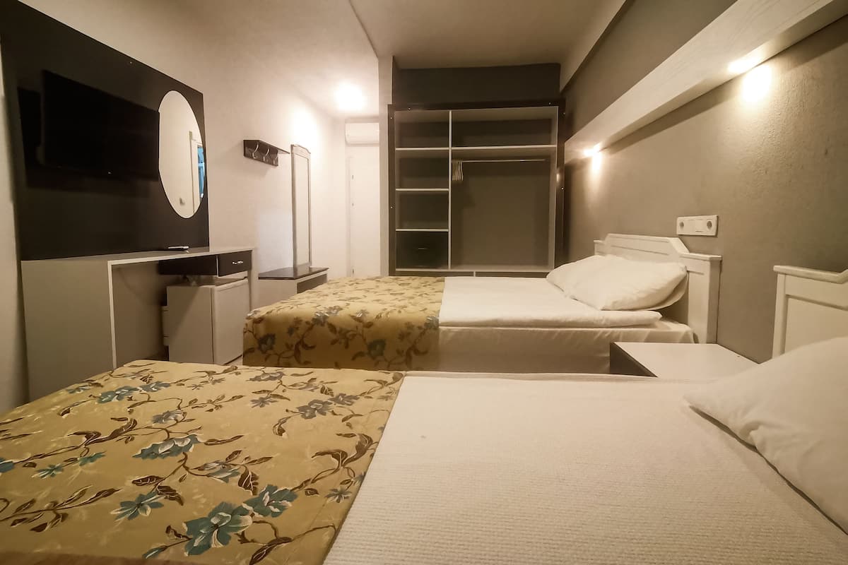 A hotel room with two beds, a mirror, a wardrobe, and a TV.