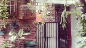 Property grounds - villas in batu indonesia Homestay Real (Kota Malang)