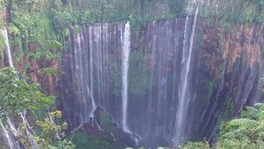 Property grounds - villas in batu indonesia Homestay Real (Kota Malang)