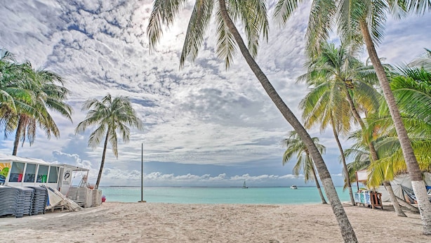 A beach with palm trees, a beach hut, and a sailboat in the distance.