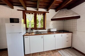 Eine kleine Küche mit Kühlschrank, Mikrowelle, Toaster und Spüle.