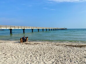 Beach nearby, sun-loungers - 250 m to the beach - child-friendly house with garden - dogs very welcome (Schönberg)