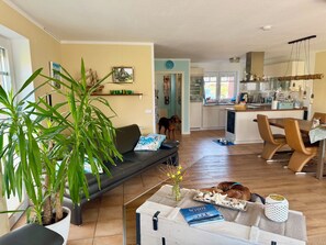 TV, fireplace, DVD player, books - 250 m to the beach - child-friendly house with garden - dogs very welcome (Schönberg)