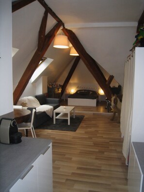 Grande chambre studio 2 à 4 personnes kitchenette | 起居区 | 平板电视