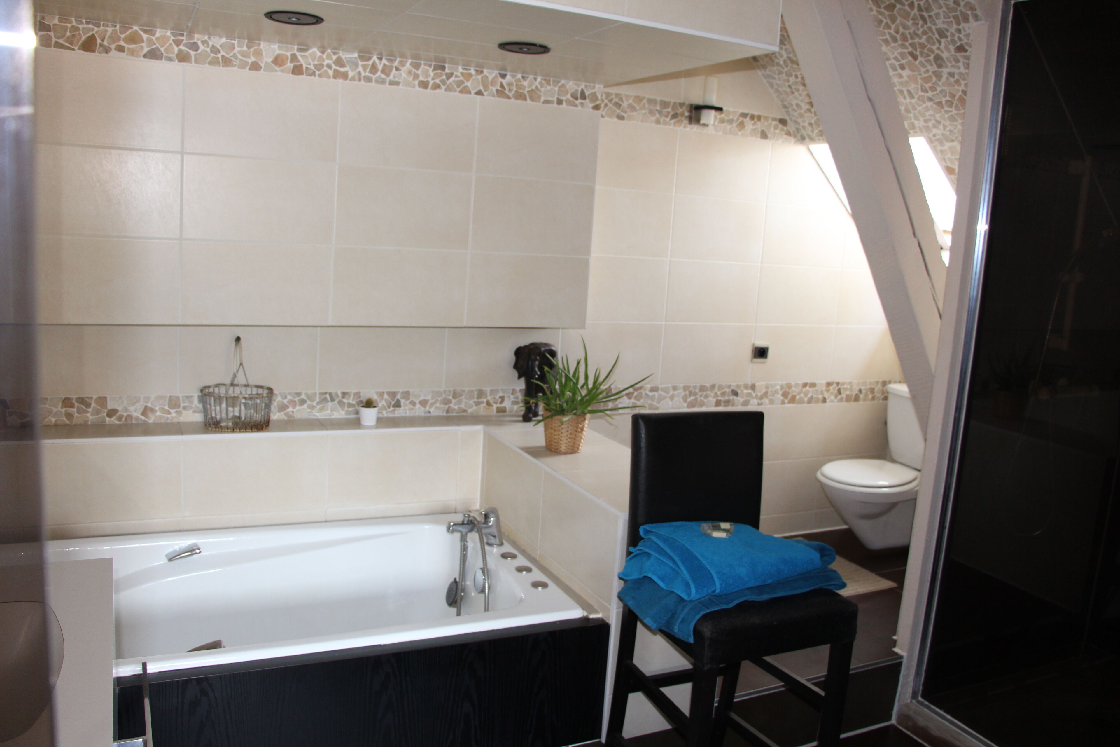 Chambre 2 à 4 personnes salle de bain séparée | Baño | Ducha, secador de pelo, toallas y papel higiénico