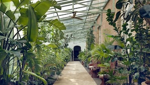 Uma estufa com caminho de concreto, plantas em vasos, móveis de vime e paredes de tijolo.