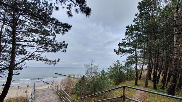 A wooden staircase leading to a beach with a railing, surrounded by pine trees. - DWIE SOSNY-Apartament na wydmie - 365PAM (Ustronie Morskie)