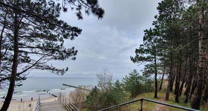 DWIE SOSNY-Apartament na wydmie - 365PAM