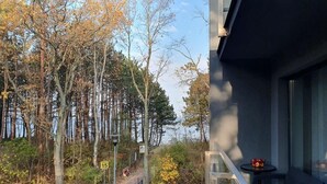 A balcony with a view of a forested area and a pathway. - DWIE SOSNY-Apartament na wydmie - 365PAM (Ustronie Morskie)