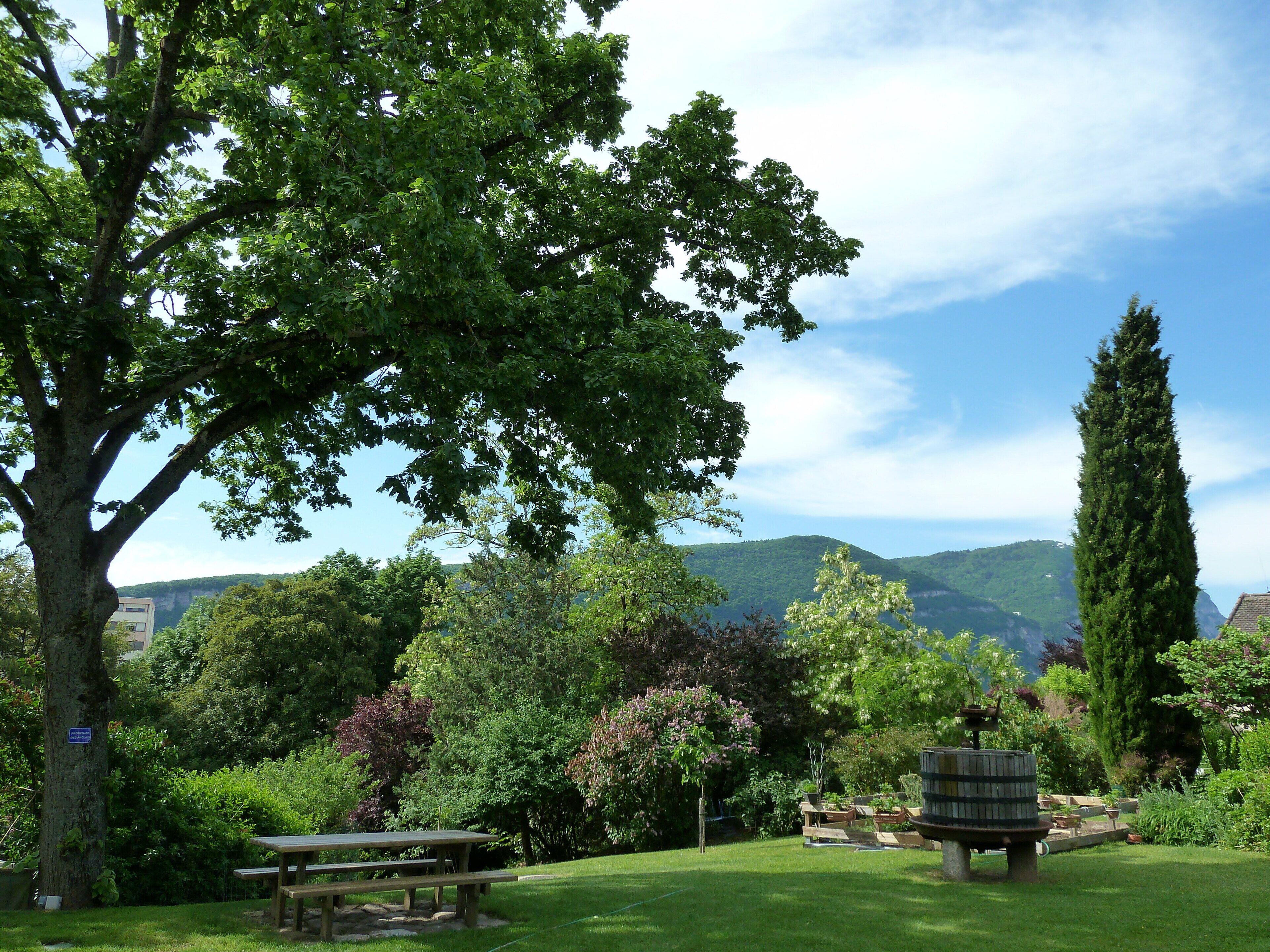 A park with picnic tables, a fountain, and a view of mountains.