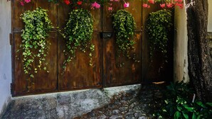 Une porte en bois rustique, ornée de lierre et de plantes à fleurs.