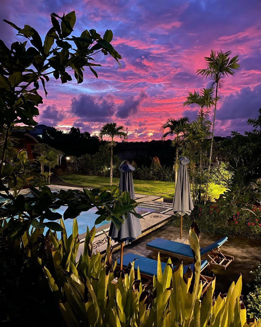 A pool area with lounge chairs and umbrellas, surrounded by tropical plants and palm trees, under a twilight sky.