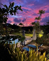 A pool area with lounge chairs and umbrellas, surrounded by tropical plants and palm trees, under a twilight sky.