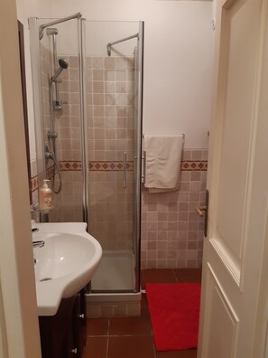 Regadera, secadora de cabello, bidet, toallas 