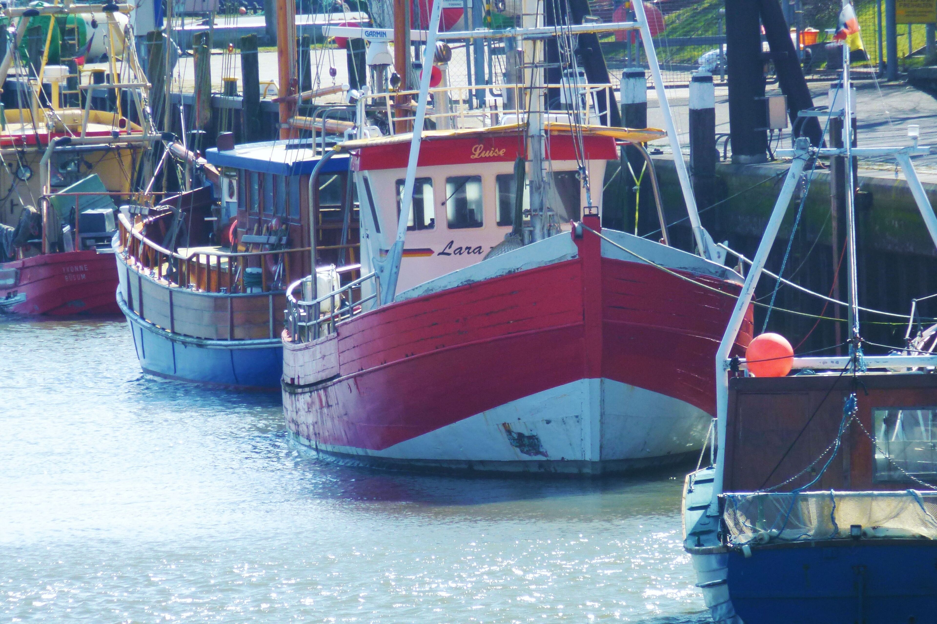 A marina with several boats docked.