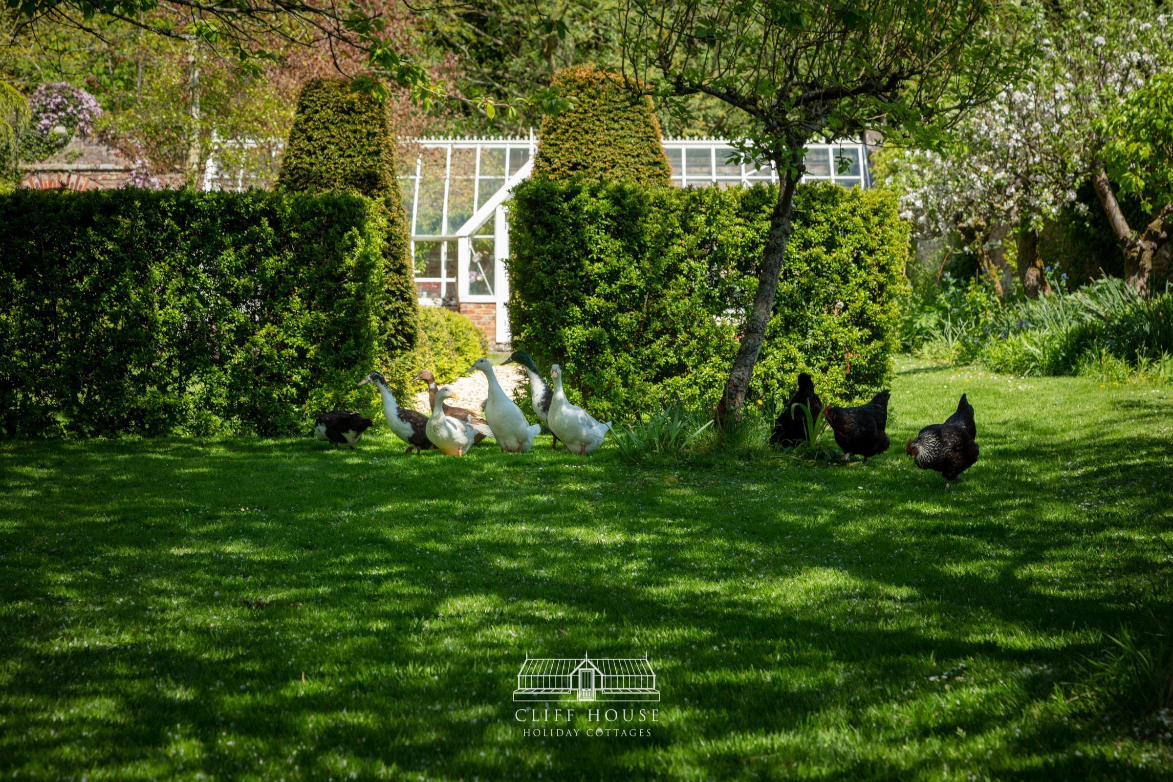 Enceinte de l’hébergement