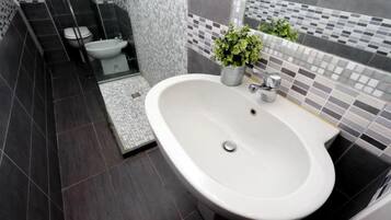 Shower, hair dryer, bidet, towels