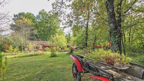 Un banc en bois rustique avec une assise rouge, situé dans un jardin luxuriant.