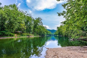 Een rivier omringd door weelderige begroeiing en een heldere lucht.