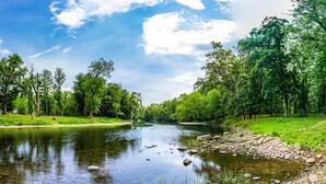 A river with a clear path alongside, surrounded by dense green trees. - River Cabin w/hot tub, fire pit, deck, games, wifi (Great Cacapon)