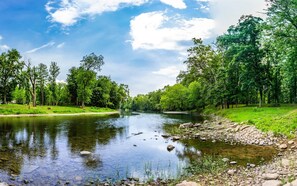 Een heldere rivier met een duidelijke oever, omringd door weelderige groene bomen.