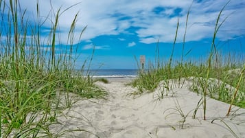 On the beach